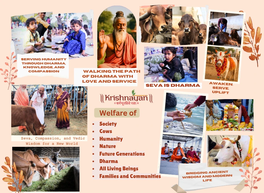 Krishnayan Desi Gauraksha